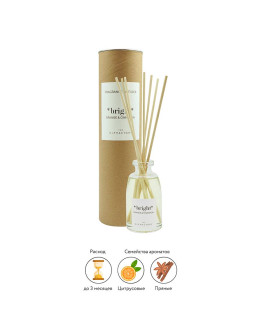 Диффузор ароматический the olphactory, bright, orange&cinnamon, 100 мл