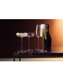 Набор из 2 бокалов-флейт wine culture 330 мл