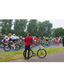 Аксессуары: Наклейка на раму велосипеда forest Наклейка на раму велосипеда forest