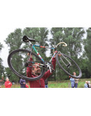 Аксессуары: Наклейка на раму велосипеда forest Наклейка на раму велосипеда forest