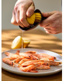 Соковыжималка ручная brighty