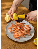 Соковыжималка ручная brighty