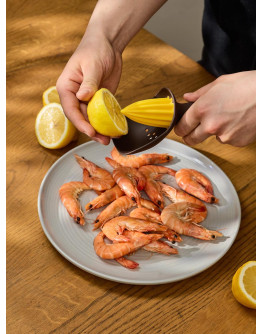 Соковыжималка ручная brighty