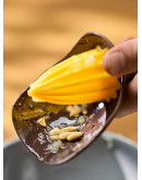 Соковыжималка ручная brighty