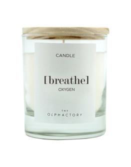 Свеча ароматическая the olphactory, breathe, oxygen, 40 ч