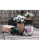 Ароматы для дома: Свеча ароматическая в стекле «Орхидея» Свеча ароматическая в стекле «Орхидея»