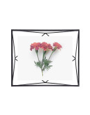 Фоторамки и фотопанно: Фоторамка prisma 20х25 черная Фоторамка prisma 20х25 черная