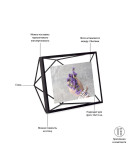 Фоторамки и фотопанно: Фоторамка prisma 10х15 черная Фоторамка prisma 10х15 черная