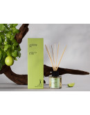 Ароматы для дома: Аромат для дома «Зеленый чай & лайм» lacrosse 100 мл Аромат для дома «Зеленый чай & лайм» lacrosse 100 мл