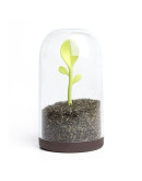 Контейнер для сыпучих продуктов sprout jar