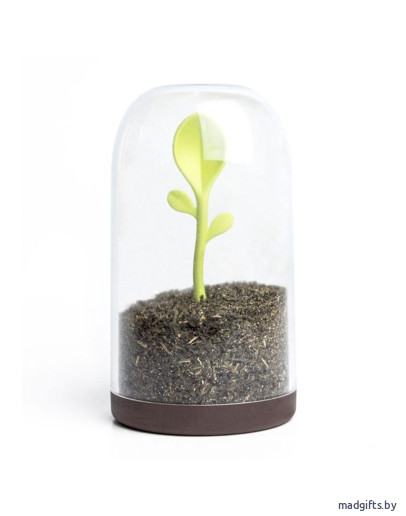 Контейнер для сыпучих продуктов sprout jar