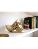 Органайзер для мелочей skull, золотой