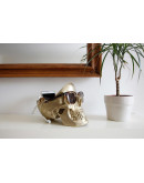 Органайзер для мелочей skull, золотой Органайзер для мелочей skull, золотой